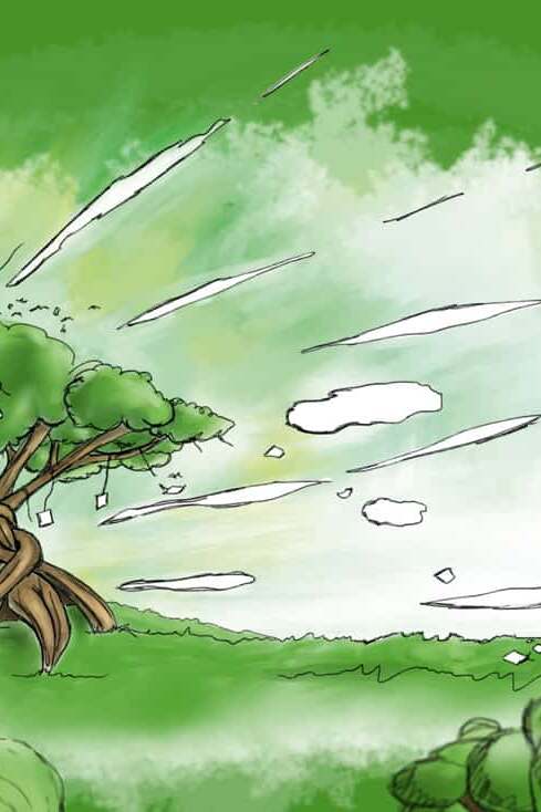 baum total poster 50x70