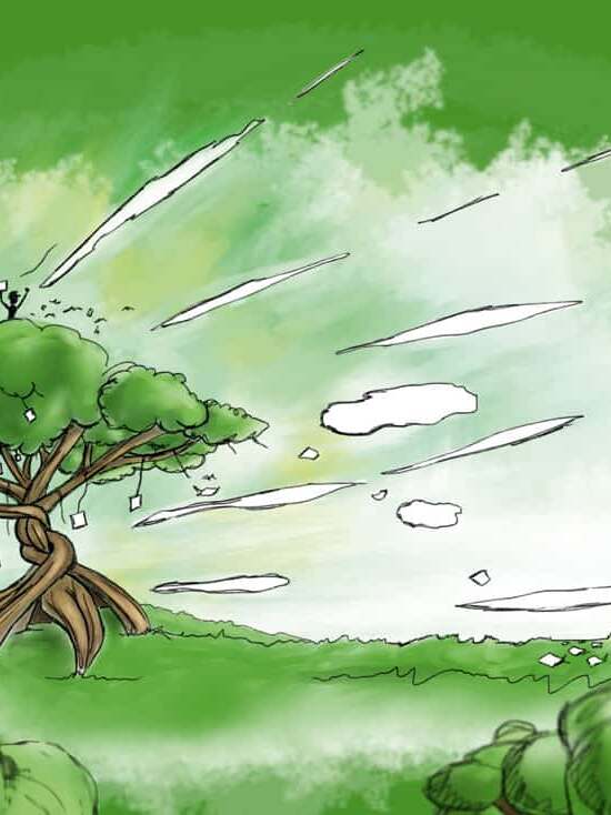 baum total poster 50x70