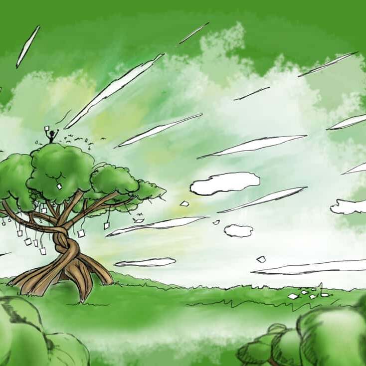 baum total poster 50x70